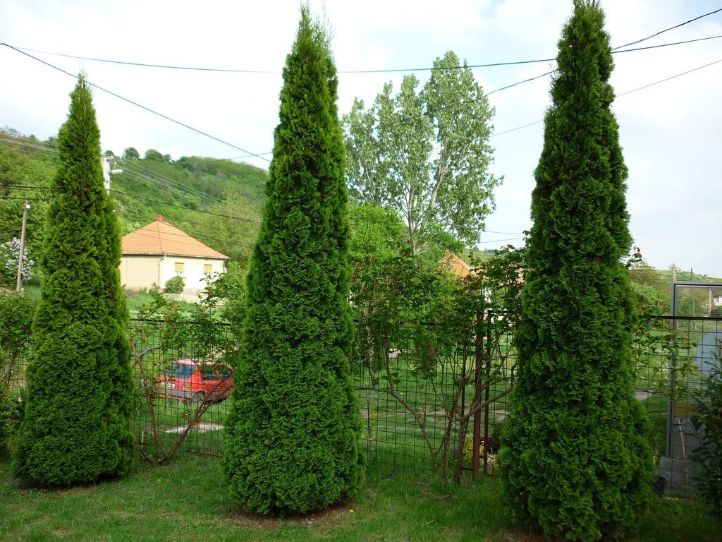 Buekk Vendeghaz Noszvaj Exterior foto